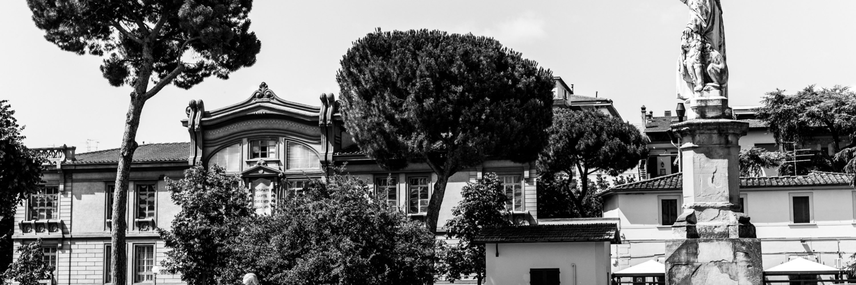 colibri_09